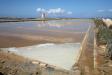 Salt mines - Trapani, July 2010